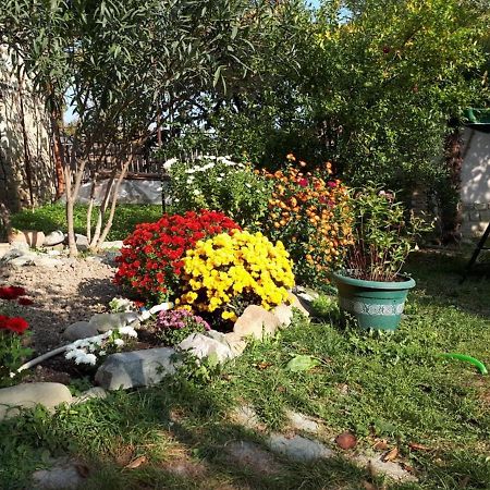 Old House Apartment With Garden Area Mtsʼkhetʼa Exteriér fotografie